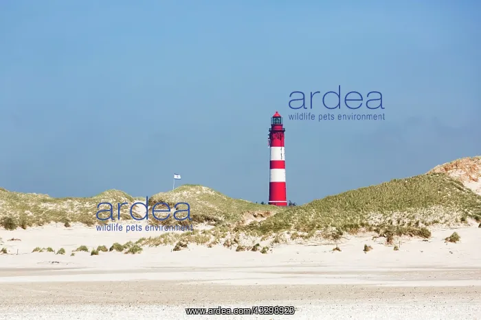 : Sandy beach with lighthouse, Amrum, North Frisian : Sandy beach with lighthouse, Amrum, North Frisian