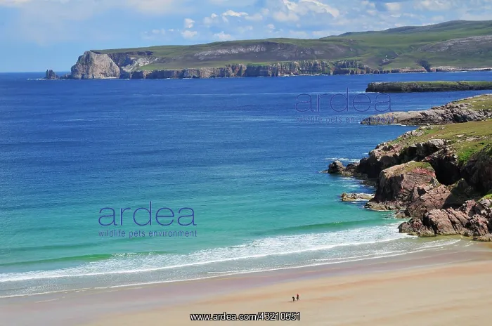 : Sandy beach and rocks in Rispond Bay, Durness, Caithness : Sandy beach and rocks in Rispond Bay, Durness, Caithness