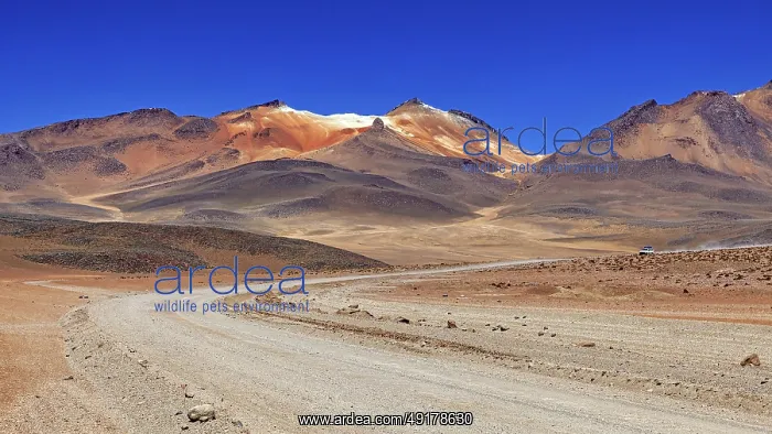 : A sandy road winds its way through a vast : A sandy road winds its way through a vast