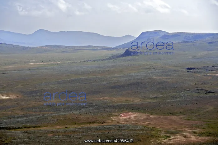 : Sanetti Plateau : Sanetti Plateau