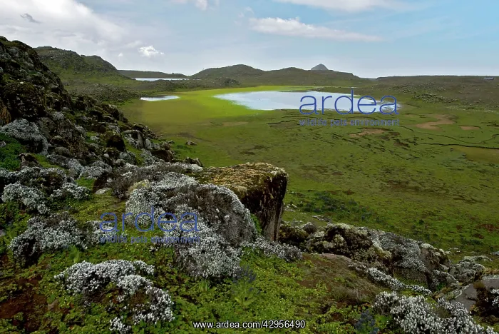 : Sanetti Plateau : Sanetti Plateau