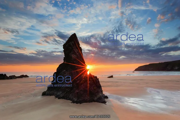 : Sango Bay, sandy beach on the coast, Scotland, United : Sango Bay, sandy beach on the coast, Scotland, United