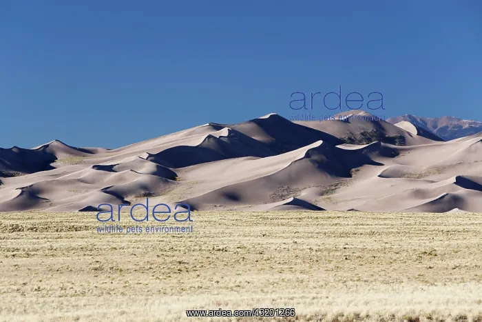 : Sangre de Cristo Mountains, Great Sand Dunes National : Sangre de Cristo Mountains, Great Sand Dunes National