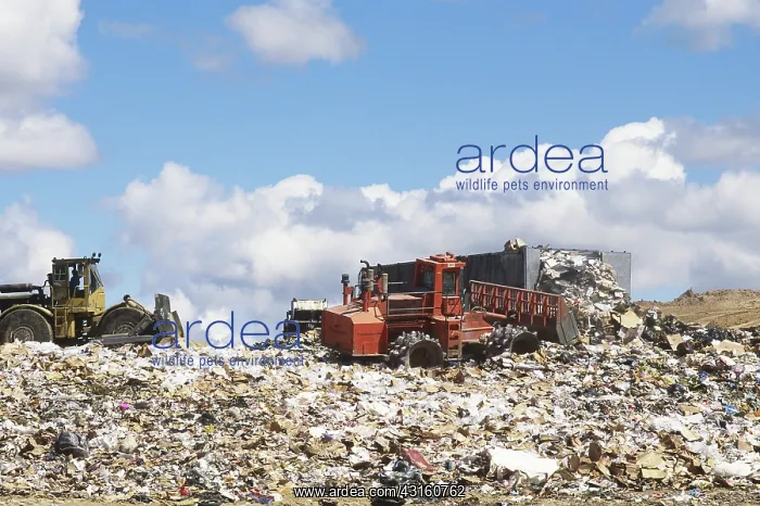 : Sanitary Landfill : Sanitary Landfill