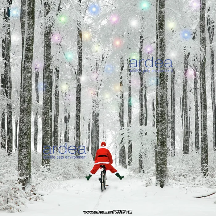  : Santa on a bike in the snow
