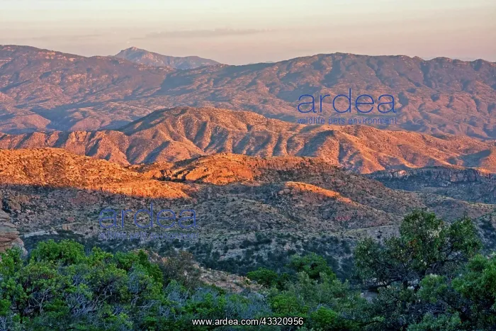 : Santa Catalina Mountains near Tucson, Arizona, USA : Santa Catalina Mountains near Tucson, Arizona, USA