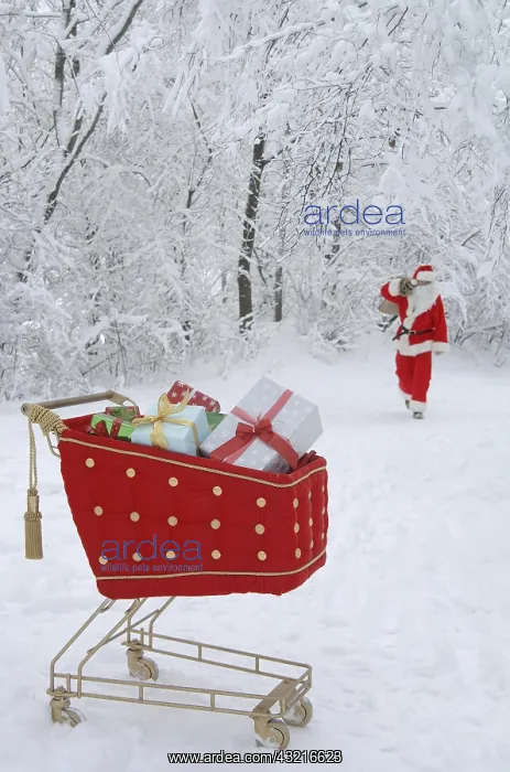 : Santa Claus in a snowy forest with a shopping cart : Santa Claus in a snowy forest with a shopping cart