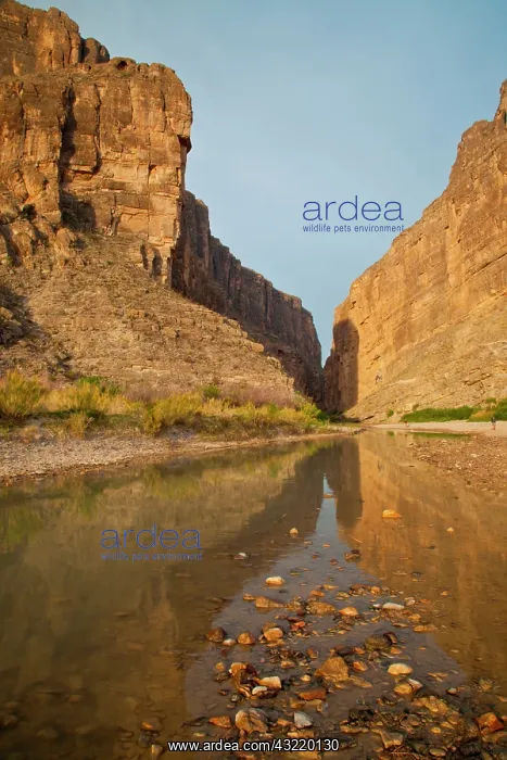 : Santa Elena Canyon and Rio Grande at sunrise : Santa Elena Canyon and Rio Grande at sunrise