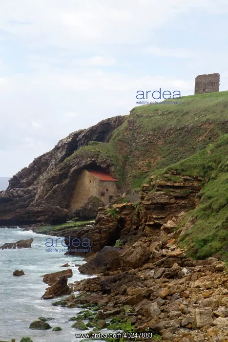 : Santa Justa Beach and old monastery near : Santa Justa Beach and old monastery near