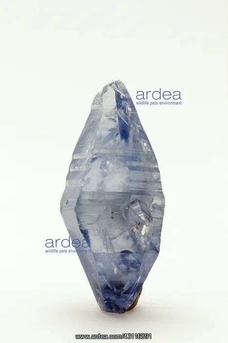 : Sapphire, a variety of corundum : Sapphire, a variety of corundum