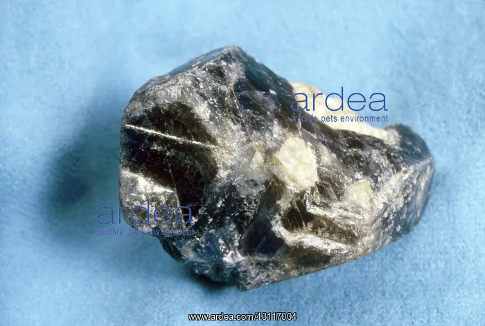 : Sapphire, a variety of corundum, from Kashmir, India : Sapphire, a variety of corundum, from Kashmir, India
