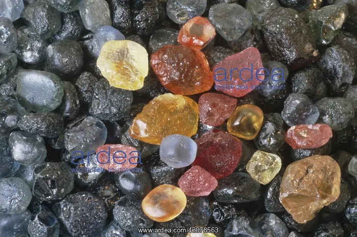 : Sapphires. Heated rough sapphires from Dry Cottonwood Creek, Montana : Sapphires. Heated rough sapphires from Dry Cottonwood Creek, Montana