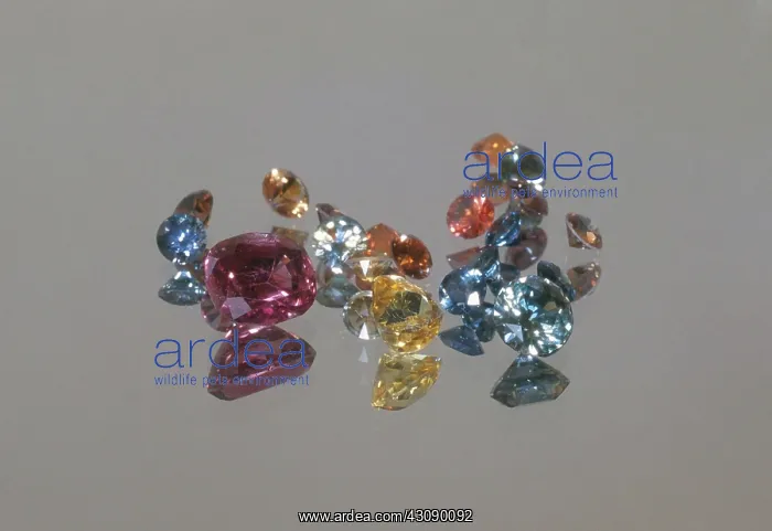 : Sapphires in assorted cuts and colors from Dry Cottonwood Creek, Montana : Sapphires in assorted cuts and colors from Dry Cottonwood Creek, Montana