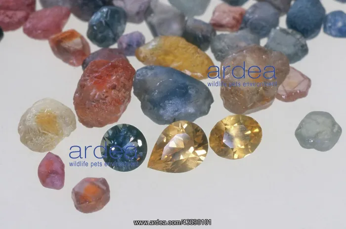 : Sapphires. Pear, oval, and round brilliant-cut sapphires : Sapphires. Pear, oval, and round brilliant-cut sapphires