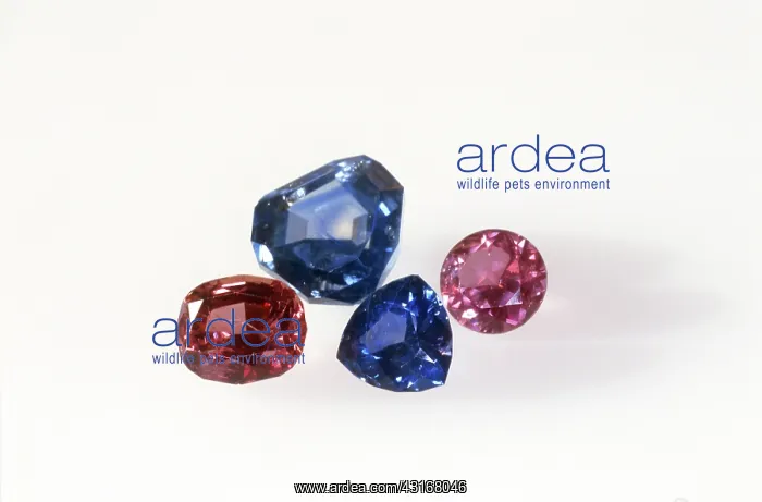  : Sapphires. A variety of sapphires: pink oval, free form, blue trillion,