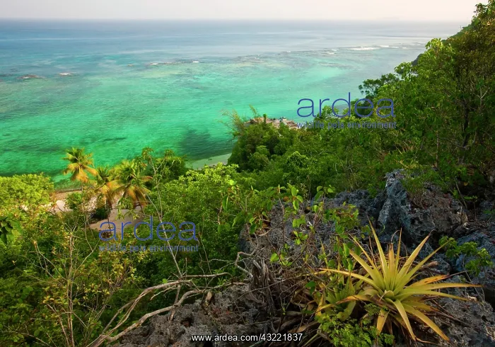 : Sardinera harbor, Mona Island, Puerto Rico : Sardinera harbor, Mona Island, Puerto Rico