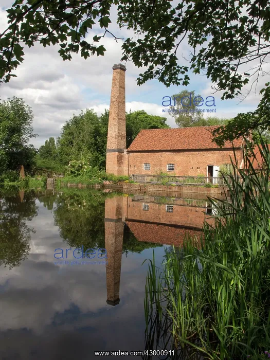 : Sarehole Mill - (Childhood haunt of author J.R.R Tolkien) : Sarehole Mill - (Childhood haunt of author J.R.R Tolkien)