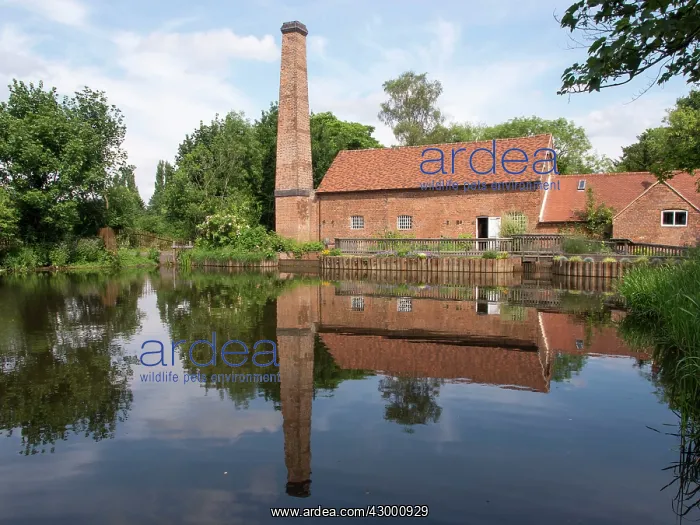 : Sarehole Mill - (Childhood haunt of author J.R.R Tolkien) : Sarehole Mill - (Childhood haunt of author J.R.R Tolkien)