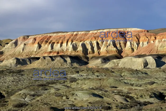 : Sarmiento Petrified Forest Provincial Reserve : Sarmiento Petrified Forest Provincial Reserve