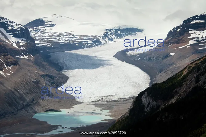 : The Saskatchewan Glacier, Columbia Icefield : The Saskatchewan Glacier, Columbia Icefield