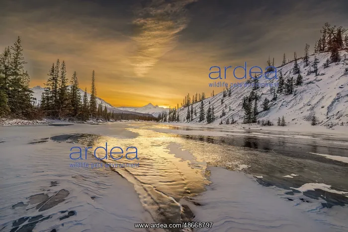 : Saskatchewan River Crossing at sunset, Canada : Saskatchewan River Crossing at sunset, Canada