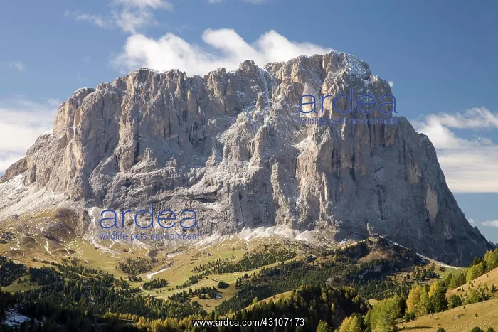 : Sassolungo, Dolomites, South Tyrol, Italy, Europe : Sassolungo, Dolomites, South Tyrol, Italy, Europe