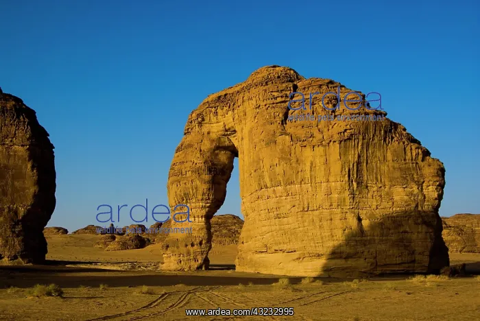 : Saudi Arabia, Al Ula, elephant rock in the : Saudi Arabia, Al Ula, elephant rock in the