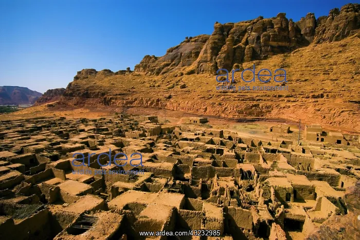 : Saudi Arabia, Al-Ula, view of the old town : Saudi Arabia, Al-Ula, view of the old town