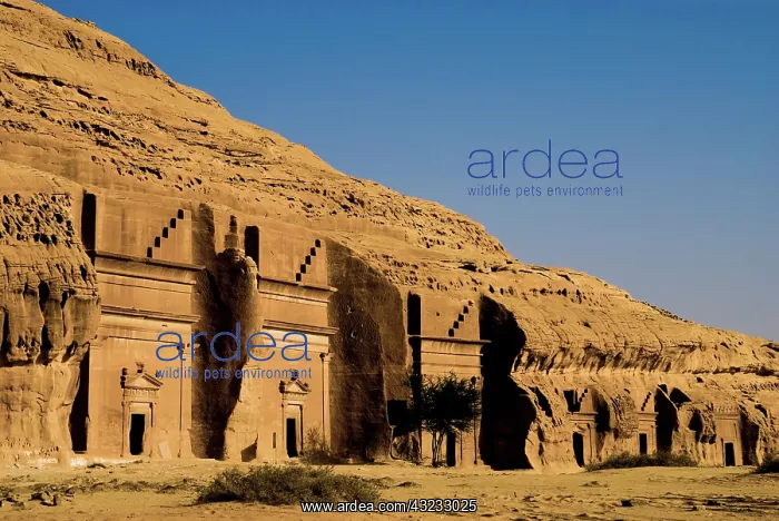 : Saudi Arabia, site of Madain Saleh, ancient : Saudi Arabia, site of Madain Saleh, ancient