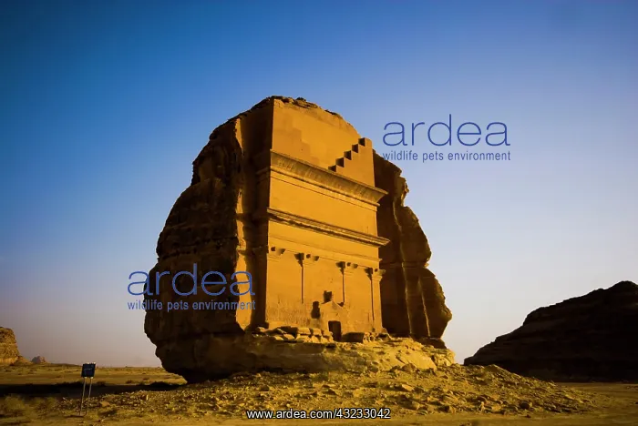 : Saudi Arabia, site of Madain Saleh, ancient : Saudi Arabia, site of Madain Saleh, ancient