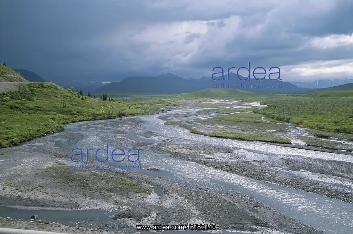 : Savage River in Alaska : Savage River in Alaska