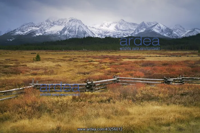 : Sawtooth Mountains : Sawtooth Mountains