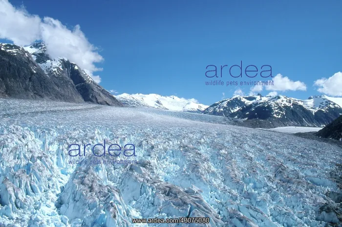 : Sawyer Glacier : Sawyer Glacier