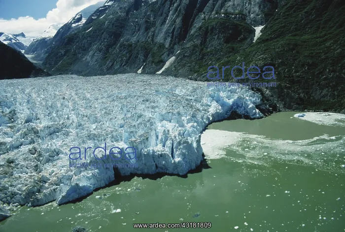 : Sawyer Glacier : Sawyer Glacier
