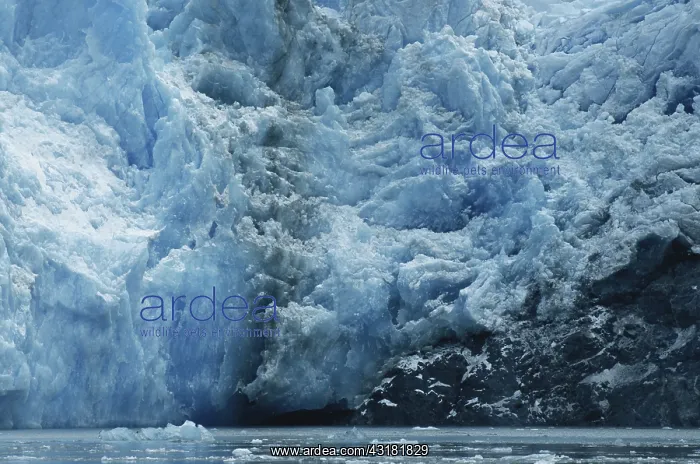 : Sawyer Glacier : Sawyer Glacier