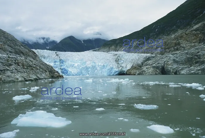  : Sawyer Glacier