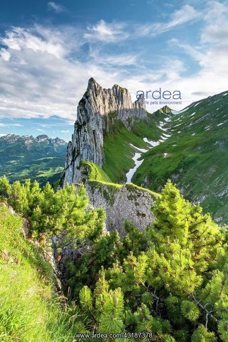 : Saxer Lacke, Alpstein, Appenzell, Switzerland, Europe : Saxer Lacke, Alpstein, Appenzell, Switzerland, Europe