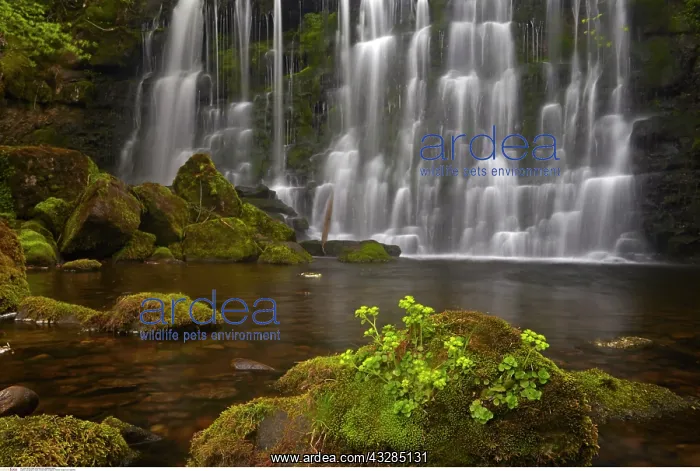 : Scala Force waterfall, England : Scala Force waterfall, England