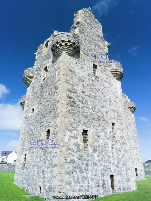 : Scalloway Castle, landmark of Scalloway : Scalloway Castle, landmark of Scalloway