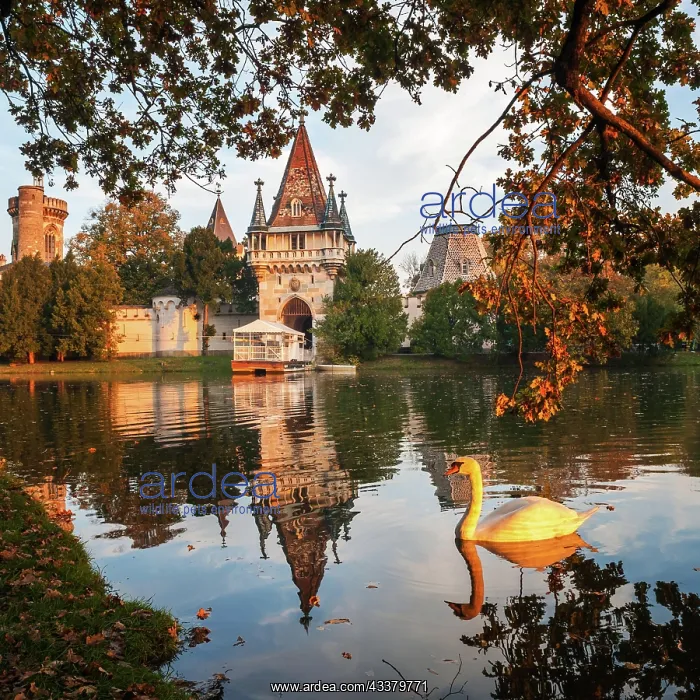 : Scan on a lake with a Castle : Scan on a lake with a Castle