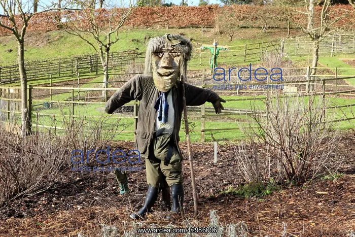  : Scarecrow. Rococo Gardens, Painswick, UK