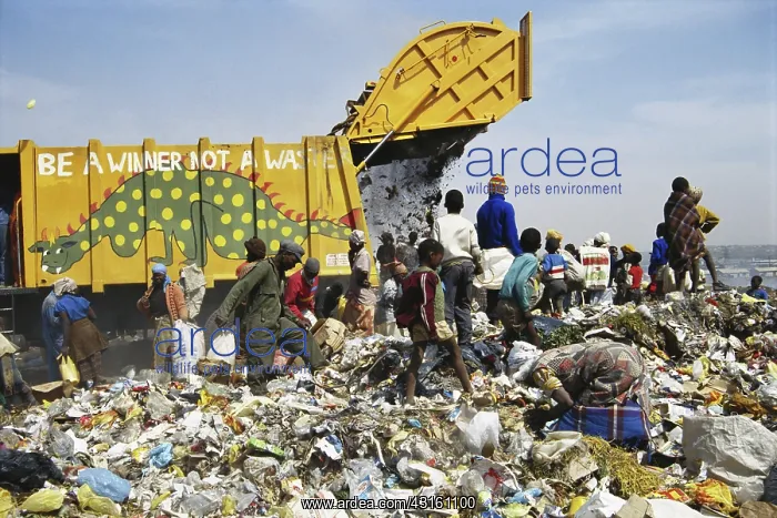 : Scavenging through Garbage : Scavenging through Garbage