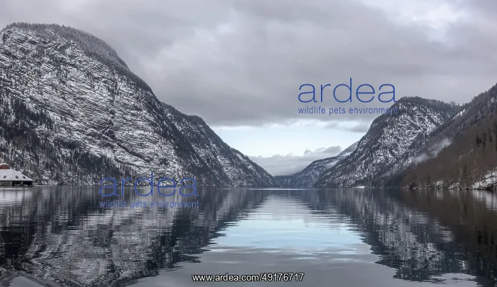 : Scenery around a lake named Koenigssee located in the Berchtesgadener Land in Bavaria Germany at winter time : Scenery around a lake named Koenigssee located in the Berchtesgadener Land in Bavaria Germany at winter time