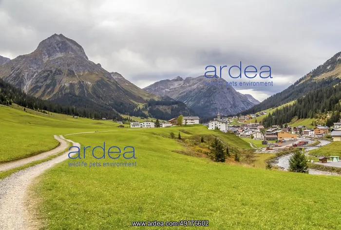 : Scenery around Lech am Arlberg in the Bludenz district in Austria : Scenery around Lech am Arlberg in the Bludenz district in Austria