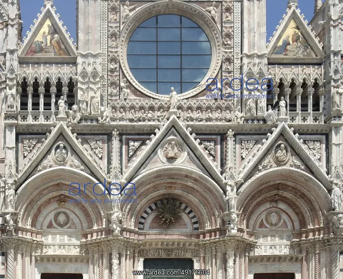 : Scenery around Siena Cathedral in Siena, Italy : Scenery around Siena Cathedral in Siena, Italy