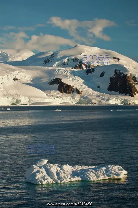 : Scenic, Antarctica : Scenic, Antarctica
