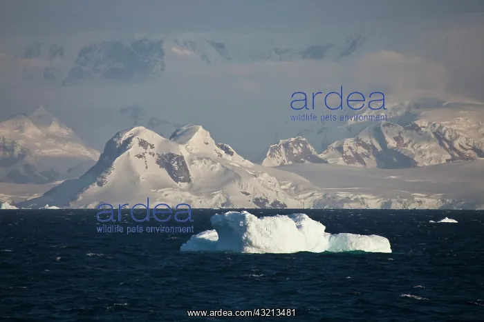 : Scenic, Antarctica : Scenic, Antarctica