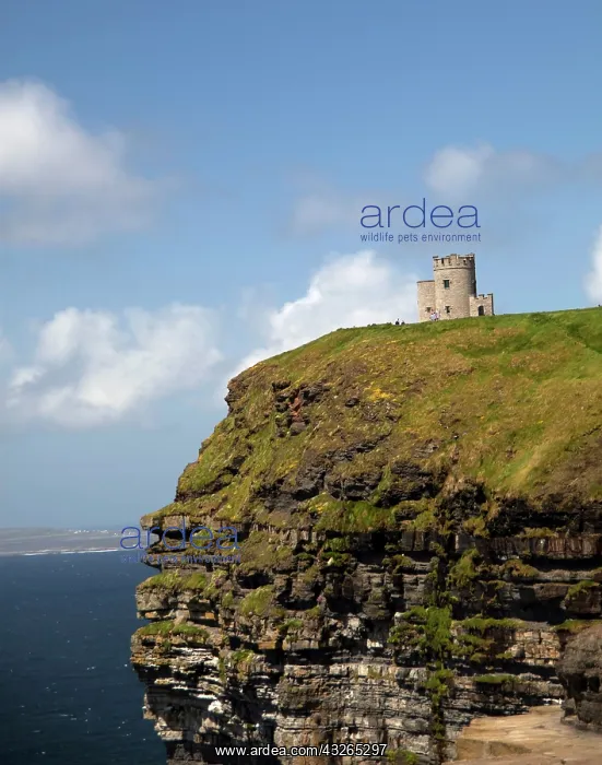  : Scenic Cliffs of Moher and O'Brien's Tower