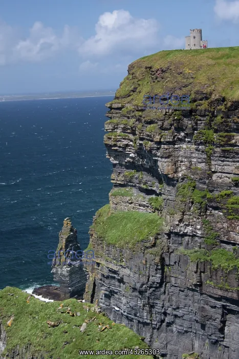 : Scenic Cliffs of Moher and O'Brien's Tower : Scenic Cliffs of Moher and O'Brien's Tower