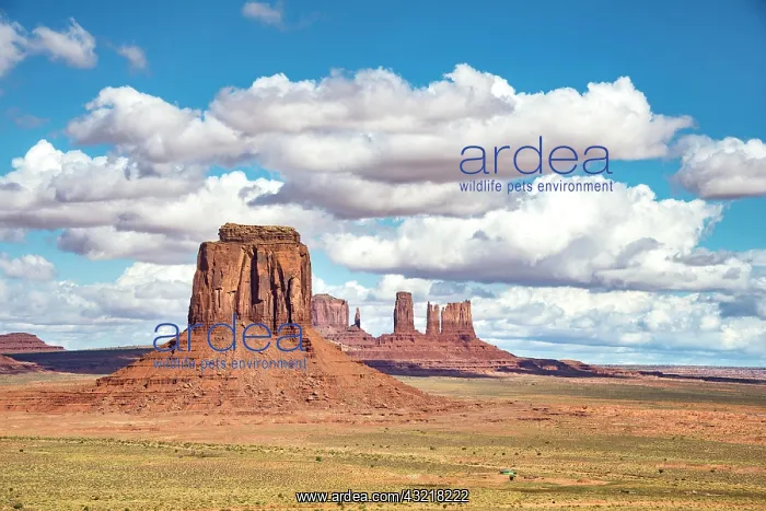 : Scenic Drive, mesas, Merrick Butte, Monument Valley : Scenic Drive, mesas, Merrick Butte, Monument Valley